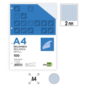 Liderpapel Paper 100 g Paper Refill Grid 2 mm (4 Hole Punched)