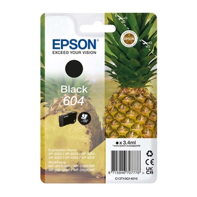 Epson 604 Black Original