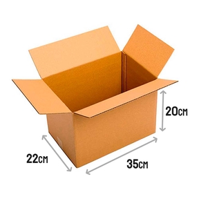 American Cardboard Box (35x22x20cm) (N/2T)