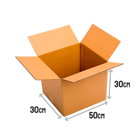 Double Wall American Cardboard Box (50x30x30 cm) (B50)